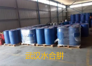 武漢水合肼.png